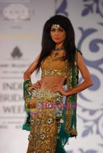 Model walks the ramp for Archana Kocchar at Aamby Valley India Bridal Week day 5 on 2nd Nov 2010 (86).JPG